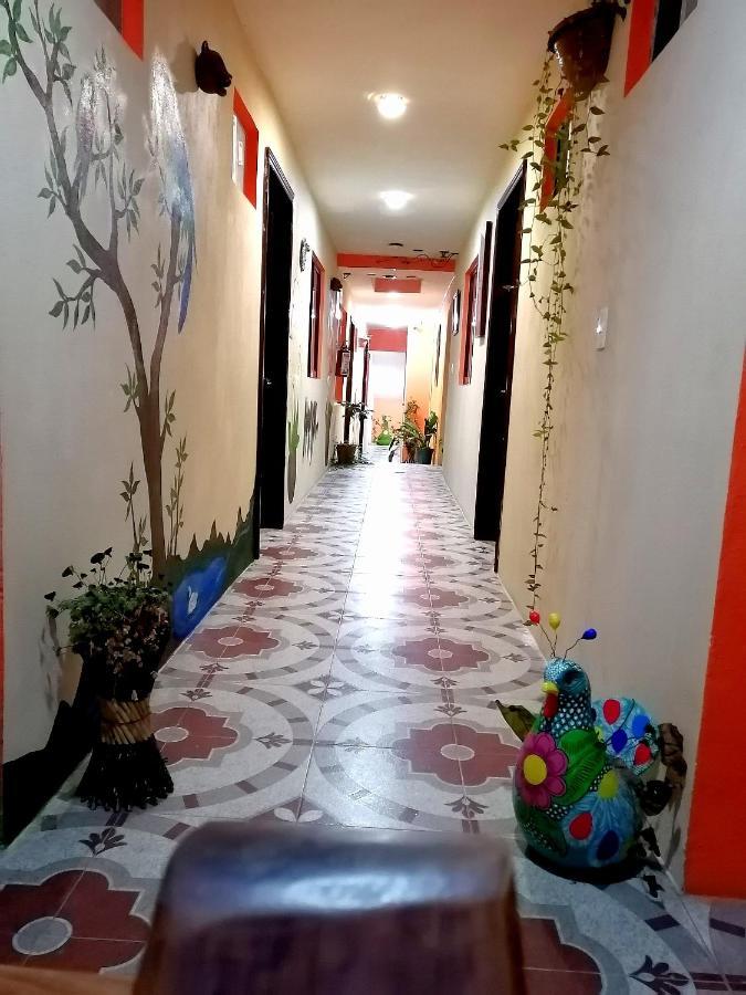 Hotel Amayal San Cristóbal de Las Casas Exterior foto