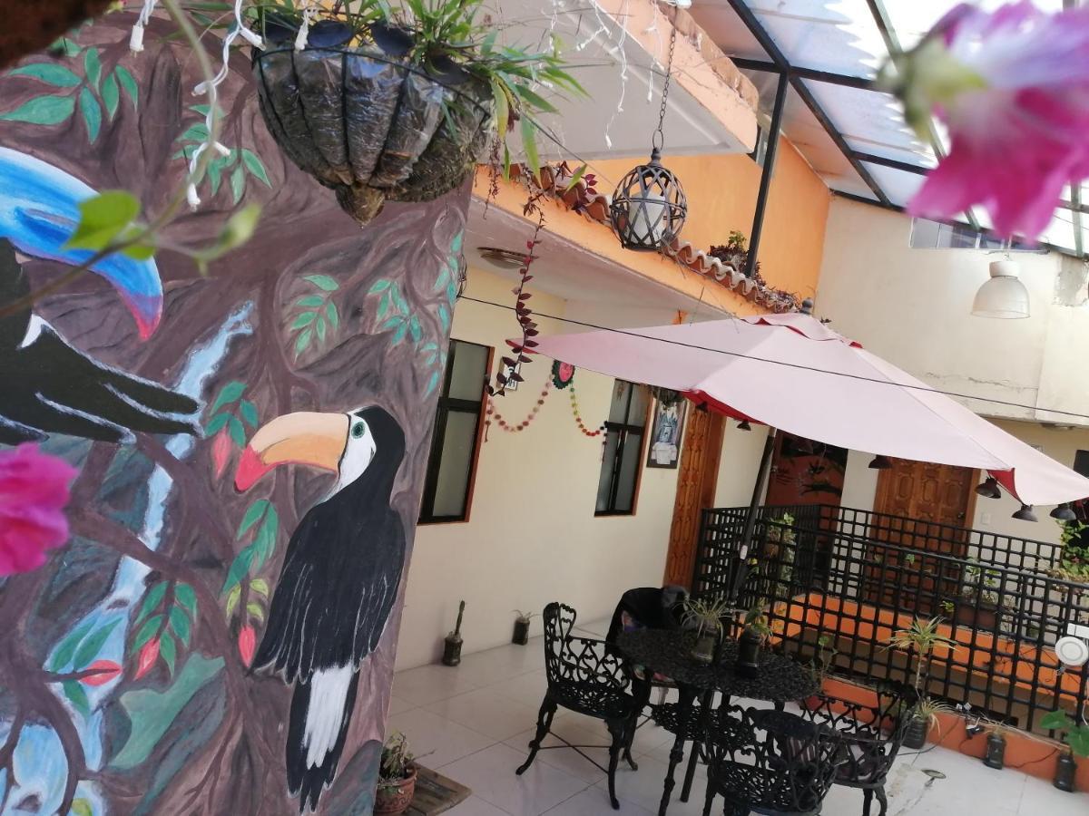 Hotel Amayal San Cristóbal de Las Casas Exterior foto