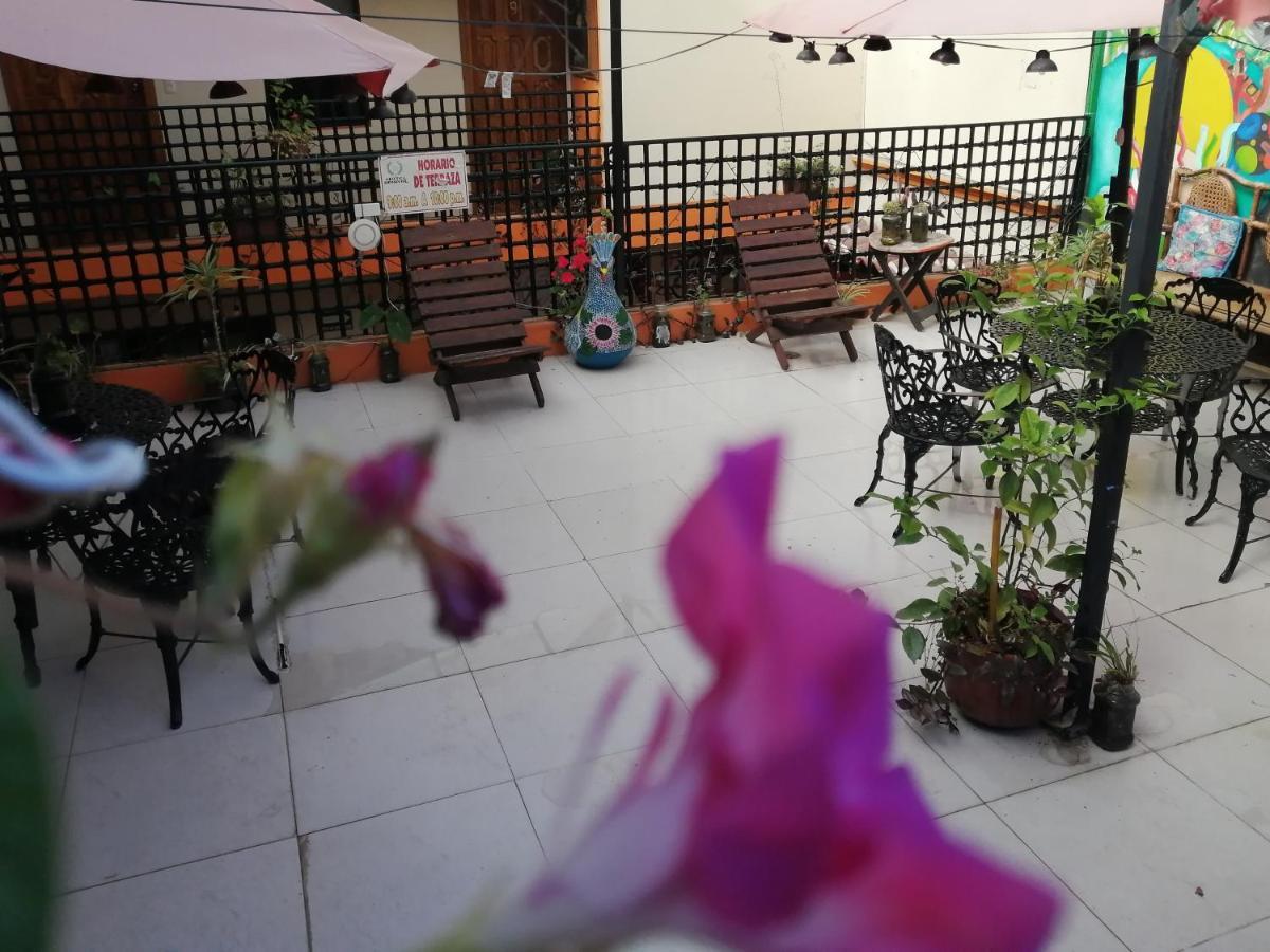 Hotel Amayal San Cristóbal de Las Casas Exterior foto
